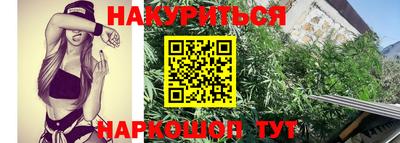 молекула духа Волжский