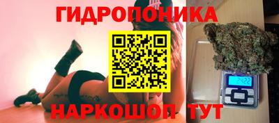 МДПВ Волжск