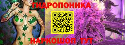 молекула духа Волжский