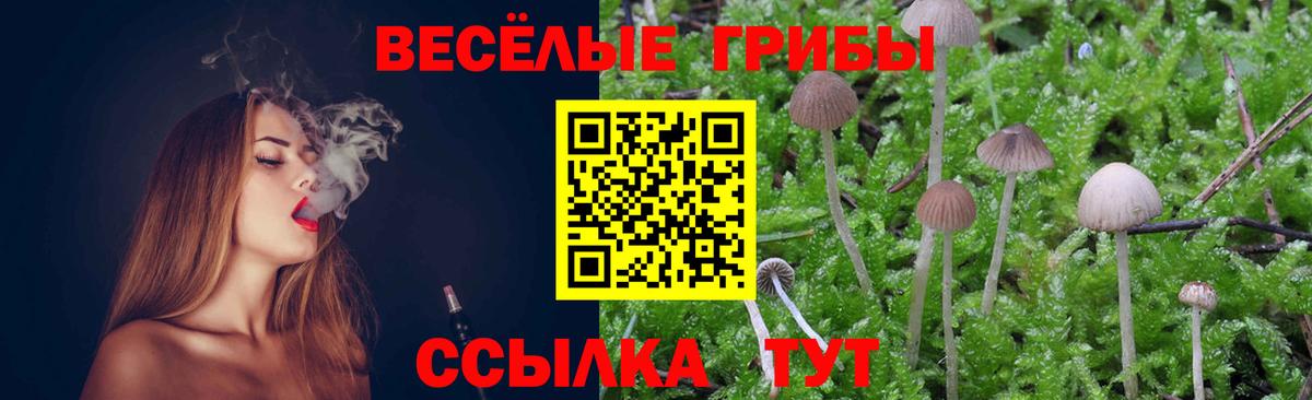 Лабинск  наркошоп  Вход с VPN  Псилоцибиновые грибы ЛСД 